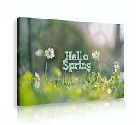 SHENGPOSTER Bonjour Printemps Toile Art Mural Fleurs Blanches Vert Nature Paysage Impressions sur Toile Images Pour Salon Chambre À Manger Boho Décor D’intérieur 30x42cm Cadre intérieur