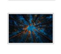 SHENGPOSTER Impression sur toile canopee de foret nocturne sans cadre, Image art mural pins ciel bleu fonce, impression deco murale nature mystique pour salon 50x75cm