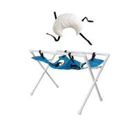 ShengQuanHao Table de Toilette Pliable pour Animaux avec Coussin Inclus et Huit Points Dattache Station de Baignade pour Chiots et Chatons pour Le Coiffage et Les, Bleu