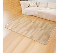 SHENGSHIYU Heated Rug,Sol Chauffant Tapis,Température Réglable,Montée en Température Constante,PVC Tapis de Sol Chauffant Bureau,Offre de la Chaleur pour Différentes Scènes 120×200cm