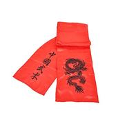 ShenLong - Ceinture Kungfu Dragon Brodée, Imitation Soie