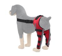 Shenrongtong Attelle De Genou pour Chien | Protection des Blessures du Genou,Orthèse de Hanche pour Chien - Stabilisation Articulaire Rééducation Mobilité Lésion Faiblesse