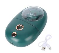 shenruifa Mignon pulvérisateur de brouillard pour visage d'animal - Rechargeable par USB - Mini humidificateur pour les yeux - Pour les déplacements - 35 ml - Vert