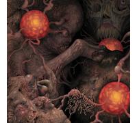 Sheol 4-way Split