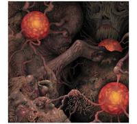 Sheol 4-Way Split