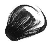 SHERCHPRY 2pièces Fausse Frange pour Femme Frange à Clips Lot de Extensions de Cheveux Postiche à Clipser Effilée