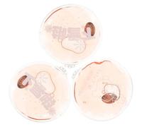 SHERCHPRY 3pièces Chauffe-Mains Main Réutilisable Gel Auto-Chauffant Hiver Sacs à Main Pratiques Motifs Dessins Animés Résistants Durables Couleur Aléatoire