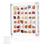 SHERCHPRY Boîte Affichage Transparente Compartiments pour Coquillages Organiseur Multi Clair Présentoir de Collection pour Coquillages Bijoux et