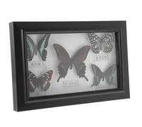 SHERCHPRY Cadre d'Échantillon Mural en Bois avec Spécimen d'Insecte A7 Aléatoire Décoration Murale Artistique pour Salon Ornement Compact et Léger pour Exposition et Présent Festif