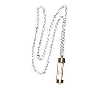 SHERCHPRY Collier Pendentif Urne Sablier Femme en Acier Bijoux Commémoratifs pour Cendres Collier Fiole Ouverte Pendentif Solide pour Souvenirs pour Animaux de Compagnie et