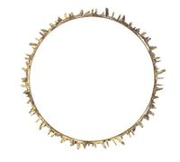 SHERCHPRY Couronne de Fête en pour Adultes Accessoire de Costume de Roi Couronne Médiévale pour Fête d'Anniversaire et Cosplay Taille Unique