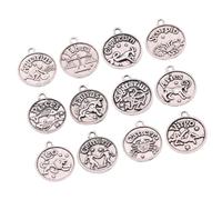 SHERCHPRY Ensemble de Pendentifs en Alliage 12 Étoiles du Zodiaque, Créateurs de Bijoux, 12 Pièces Argenté Ancien, Breloques Diy, Accessoires Artisanaux pour Colliers et Bracelets, Présent