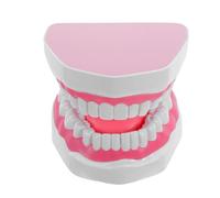 SHERCHPRY Modèle de Bouche Pédagogique en Plastique 6 Fois Agrandi, Couleur Rose, Kit de Modèle de Dents Primaires pour Entraînement au Brossage et Démonstrations D’hygiène Bucco- en Milieu