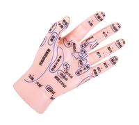 SHERCHPRY Modèle de Main pour Acupression Réflexologie Accessoire Éducatif Robuste pour Enseignement Médecine Traditionnelle Chinoise Pratique Du Massage