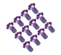 SHERCHPRY Vis de Vélo en Acier Titane M5X10Mm 12 Pièces Vis de Plaquette de Frein Couleur Violette Compatibles Freins à Disque VTT Route et Électrique