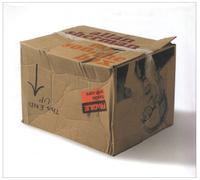 Sherman, Allan - My Son The Box