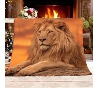 Sherpa Couverture Gros Plan d'un Lion MâLe Plaid Polaire Flanelle Super Chaude Couverture Douillette Douce et Chaude Orange Antistatique Plaids pour Lit Canapé Camping Voyage