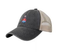 Sherwin Williams Cover The Earth Industry Casquette de Baseball Casquette Snapback en Coton Hip Hop Caps Bone Casquette