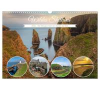 Shetland sauvages, les îles vikings au bord du monde., Version française (Calendrier mural 2026 DIN A3 portrait), Calendrier CALVENDO mensuel