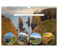 Shetland sauvages, les îles vikings au bord du monde., Version française (Calendrier mural 2026 DIN A4 portrait), Calendrier CALVENDO mensuel