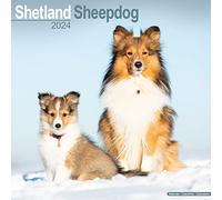 Shetland Sheepdog Calendar 2024 Square Dog Breed Wall Calendar - 16 Month