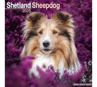 Shetland Sheepdog Calendar 2025 Square Dog Breed Wall Calendar - 16 Month