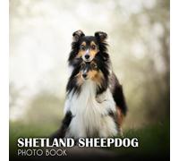 Shetland Sheepdog Picture Book: Gorgeous Images For Relax And Unwind With 30+ Colorful Picture For All Ages To Relaxing And Creative Christmas Photo Book For All Ages To Relieve Stress And Get Creativ