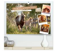 Shetlandponys - Kleine Pferde, große Momente (hochwertiger Premium Wandkalender 2027 DIN A2 quer), Kunstdruck in Hochglanz: Magische Augenblicke zwischen Licht und Natur