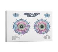 SHFTQXSLAT Abstract Eye Art Print - Macro Iris Photography on Canvas, Minimalist Organic Wall Decor for Contemporary Apartment, Dining Room & Entryway(Framed,16x24inch(40x60cm))