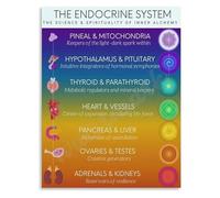 SHFTQXSLAT Inner Philosophy Poster Endocrine System and Energetic Body Chart for Study Wall-Art(Framed,16x24inch(40x60cm))