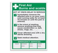SHFTQXSLAT Skin Burn Classification Poster Scalds Emergency Response Diagram Paramedic Training Wall-Art for Clinic(Framed,12x18inch(30x45cm))
