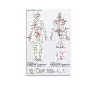 SHFTQXSLAT Traditional Chinese Medicine Chart Five Elements Theory and Acupuncture Meridian Poster Canvas Wall-Art for Wellness Studio(Framed,08x12inch(20x30cm))