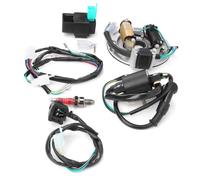 SHI- Faisceau de câblage d'allumage Bobine d'allumage Stator CDI Faisceau de câblage Kit de bougies d'allumage pour auto bobine