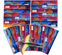 SHIBA-24 Jouets de Planeurs Dinosaures Polystyrène, Avions Dino Jouets pour Enfants - Jouets Avion Polystyrene Planeur Planeurs Po[1