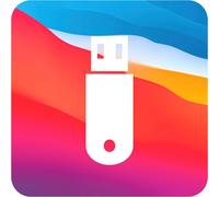 SHIBA-Clé d¿Installation Compatible avec macOS 11 Big sur USB OS X (Clé) d'installation Amorçable Récupération Bootable USB - Inst[1