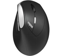 SHIBA-EV250 Souris Droitier RF sans Fil Optique 1600 DPI[964]