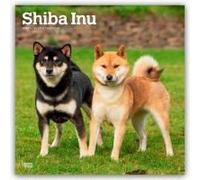 Shiba Inu 2026 Square Flap Calendar Calendar Book