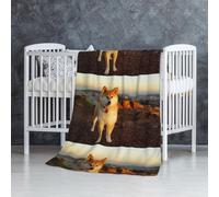 Shiba Inu Animaux de Compagnie Chiens Coucher de Soleil Bokeh Shiba Inu,Couverture Douce et Chaude en Flanelle Anti-Boulochage 76 x 127 cm