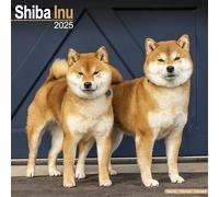 Shiba Inu Calendar 2025 Square Dog Breed Wall Calendar - 16 Month