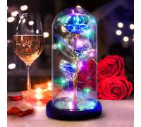 SHIBA-Kit cadeau rose éternelle lampe LED fleur or rose cadeau dans dôme en verre belle et la bête, rose cadeau romantique pour an[8