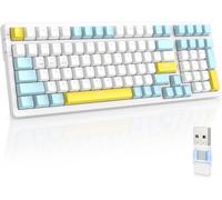 SHIBA-RK96 Clavier Gamer sans Fil, Clavier Mecanique Gaming 90%, Apex Pro TKL Double Mode Bluetooth/2.4Ghz Hot Swappable Interrupt[2