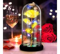 SHIBA-Rose Eternelle, Rose la Belle et la Bete sous Cloche, Fleurs Eternelles Lumières LED Colorées dans Un Dôme en Verre Cadeau p[7