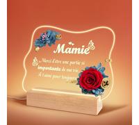 SHIBA-Veilleuse LED en Acrylique avec Rose Eternelle, Cadeau Anniversaire Mamie, Vraie Rose Préservée Cadeau Mamie, Cadeau Fete de[2