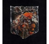 Shields Death & Connection (Vinyl) 12" Album Coloured Vinyl