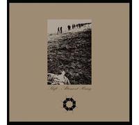 Shift - Altamont Rising