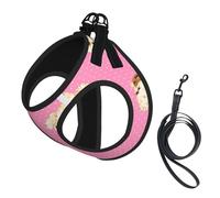 Shih Tzu à Pois Roses,Harnais pour Animaux de Compagnie, Harnais réfléchissant réglable pour Chien,S