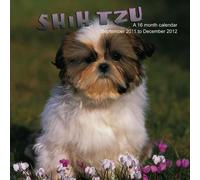 Shih Tzu Calendrier 2012 - Shih Tzu 2012 Calendar