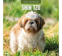 Shih Tzu - Calendrier mural carré 2026 - par Red Robin Publishing