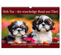 Shih Tzu - der wuschelige Hund aus Tibet (Wandkalender 2026 DIN A3 quer), CALVENDO Monatskalender: Freundlicher, gelehriger Familienhund - auch für Anfänger