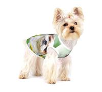 Shih Tzu Petits Chiens Mignons Chiots bouclés Animaux de Compagnie Champ,T-Shirt sans Manches en Coton pour Animaux de Compagnie, Gilet Respirant, Extensible et Doux,S